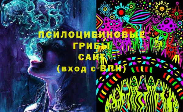СК Арсеньев