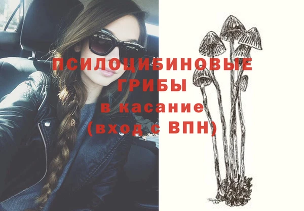 СК Арсеньев