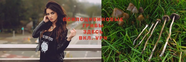 гашиш Аркадак
