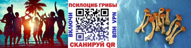 где продают наркотики  Кыштым  Псилоцибиновые грибы MAGIC MUSHROOMS 
